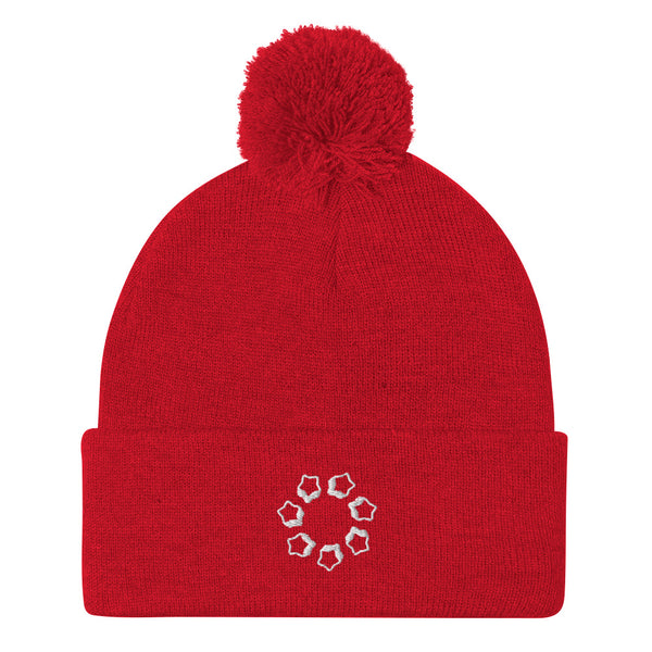 Pom-Pom Beanie